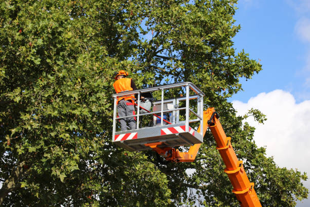 Best Weed Control  in Marina, CA