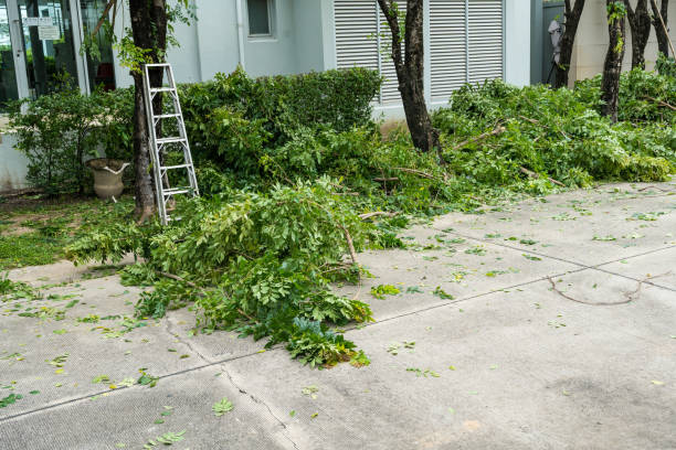 Lawn Irrigation Installation and Maintenance in Marina, CA